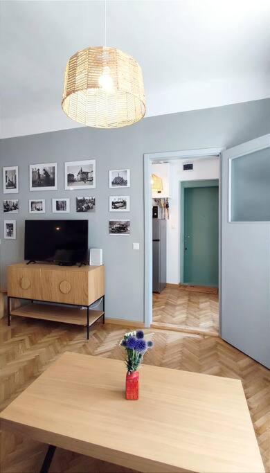 Isac 15 Central Apartment Клуж-Напока Экстерьер фото
